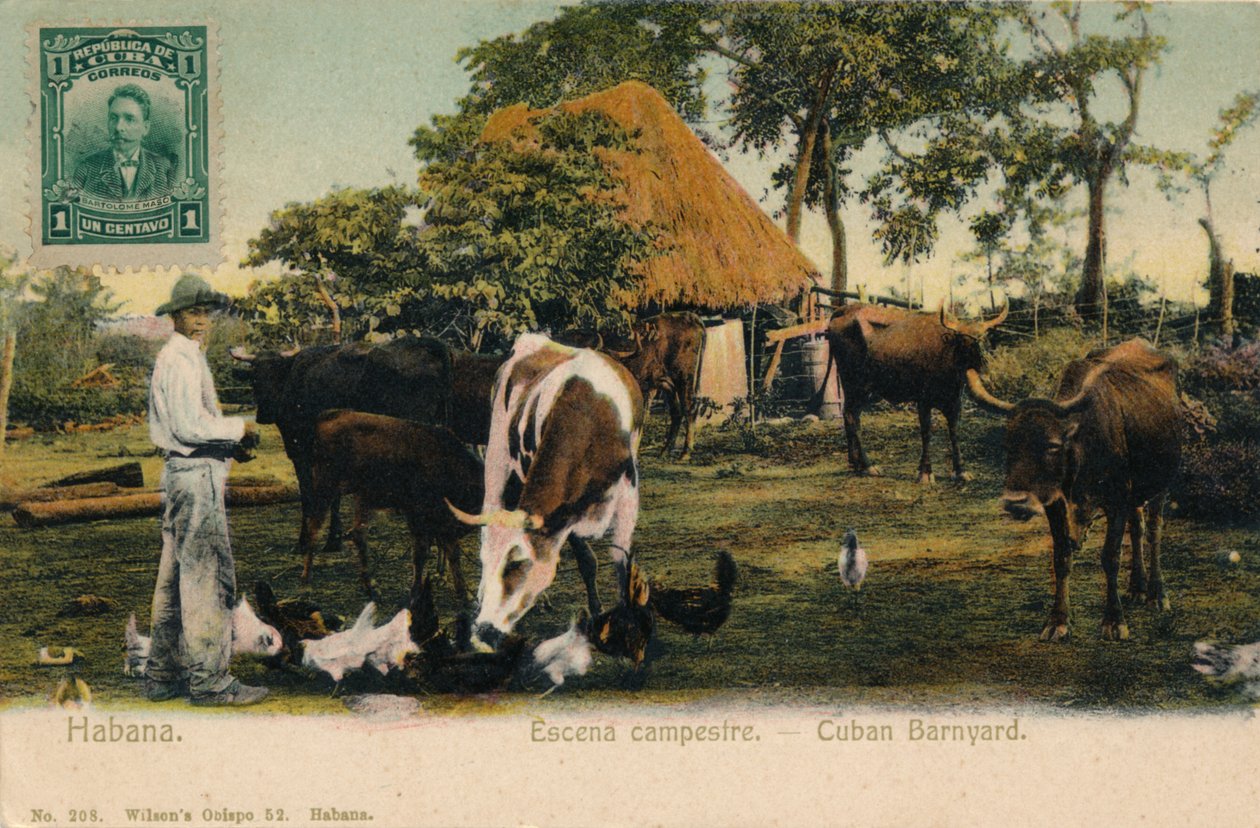 Havana Ülke Manzarası - Küba Ahırı, c1910 by Unbekannt