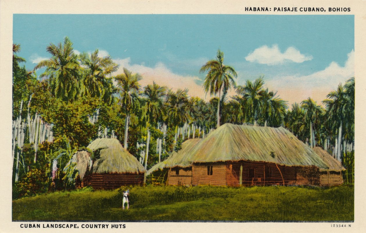 Havana: Küba Manzarası, Bohios. Küba Manzarası, Kır Kulübeleri, c1910 by Unbekannt