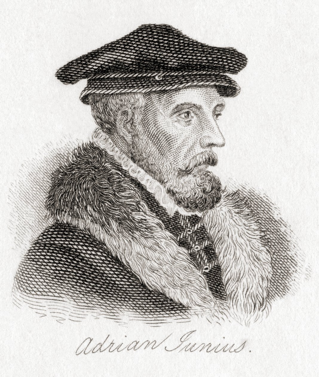Hadrianus Junius, 1511–1575, diğer adıyla Adriaen de Jonghe. by Unbekannt