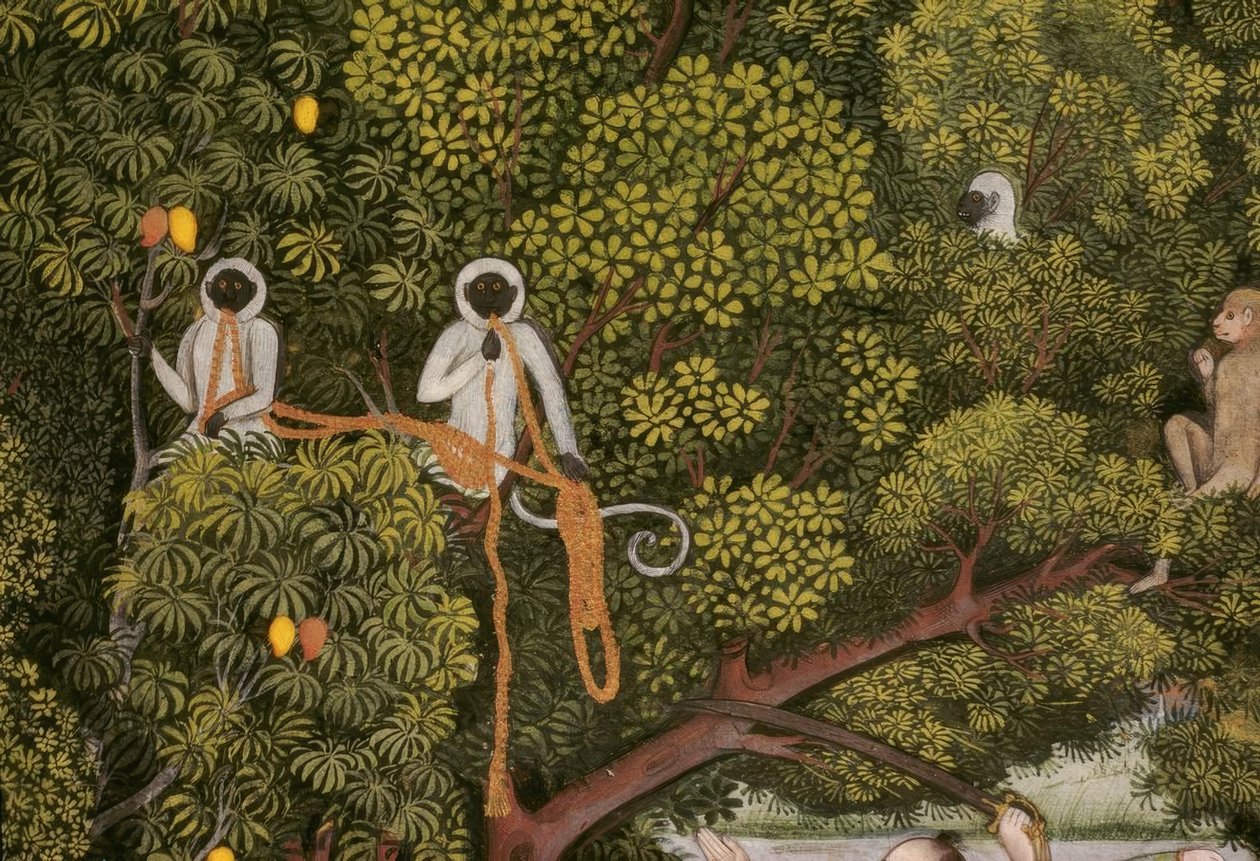 Hanuman-Languren Hint Minyatür by Unbekannt