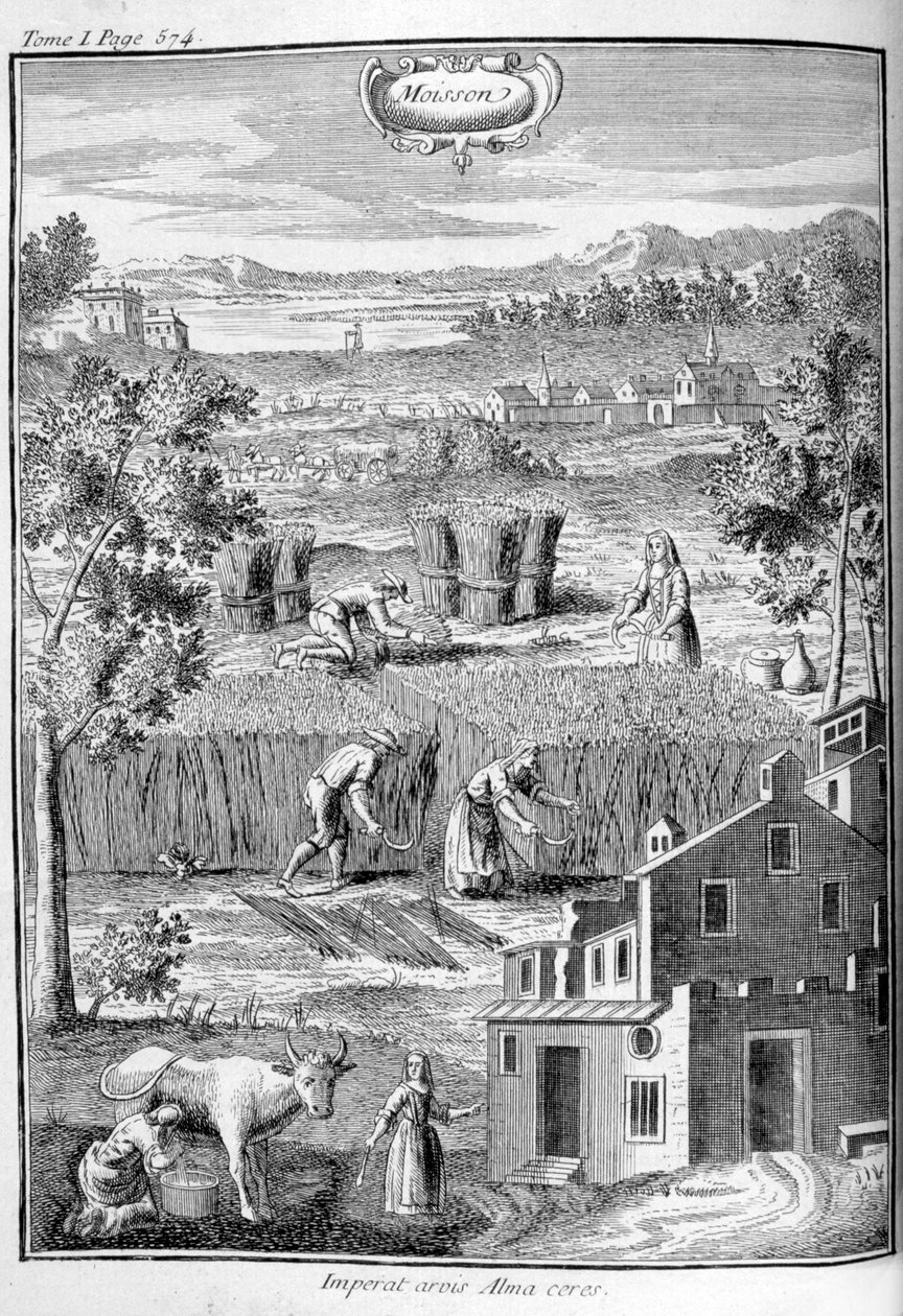 Hasat, 1775 by Unbekannt