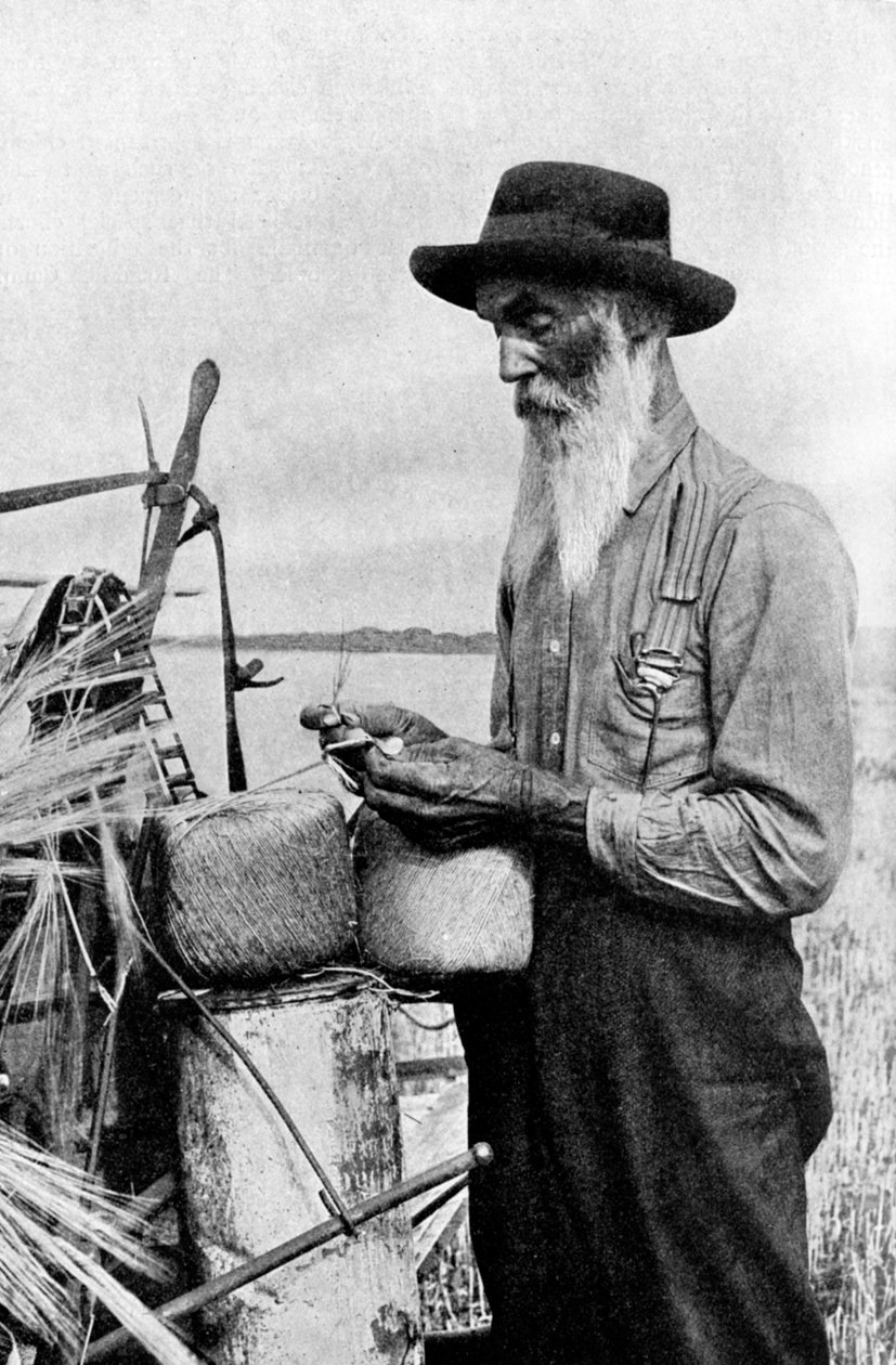 Red River bölgesinde hasat zamanı, Alberta, Kanada, 1922 by Unbekannt