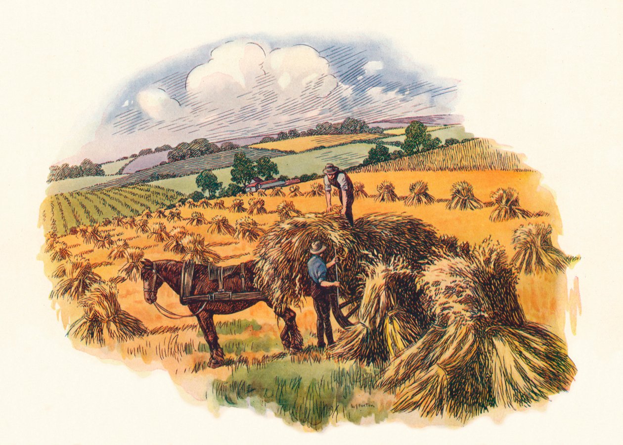 Tolpuddle