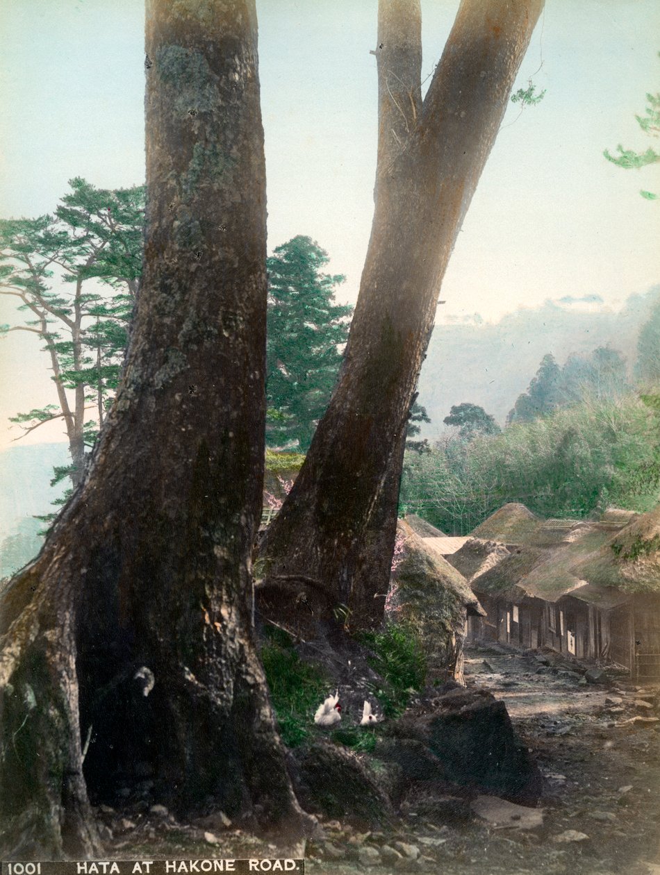 Hata, Hakone Yolu