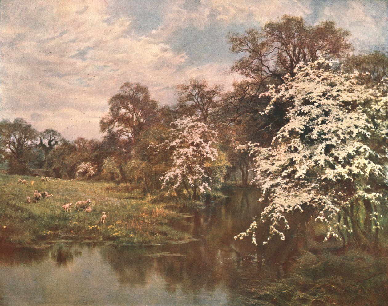 Alıç Çiçekleri, c1899, c1902. by Unbekannt
