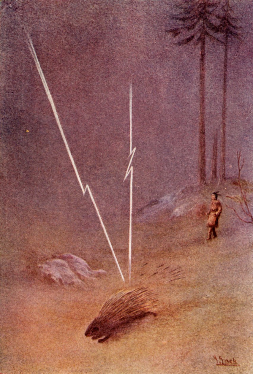 Aniden devasa bir kirpi şeklini aldı, 1914. by Unbekannt