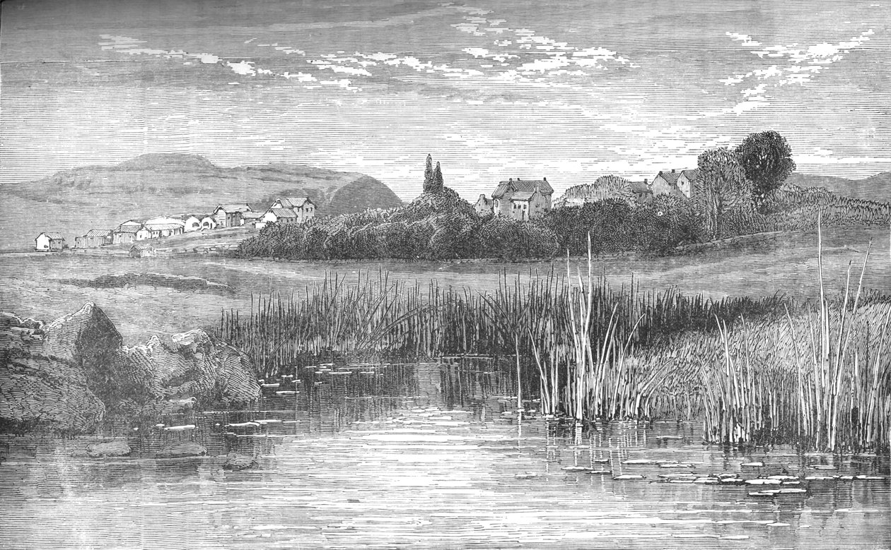 Heidelberg, c1880 by Unbekannt