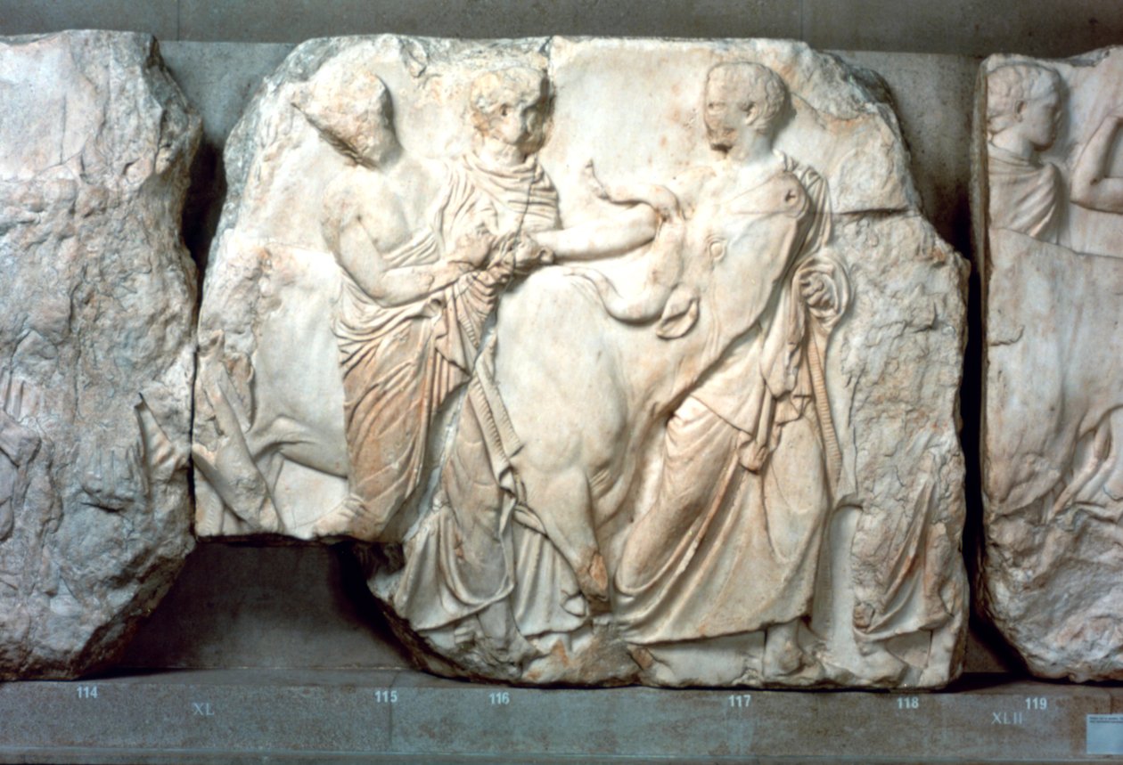 Düveler, Parthenon