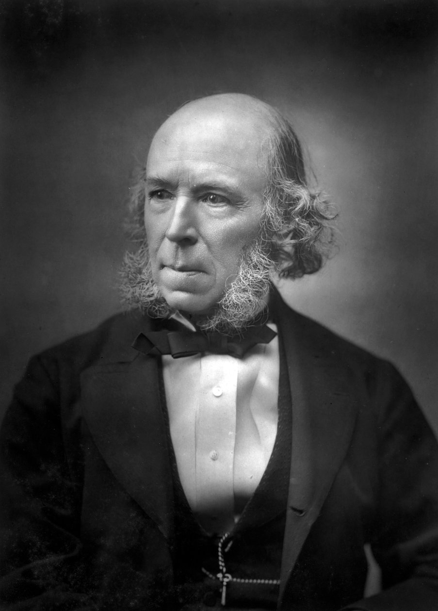 Herbert Spencer 1820-1903, 19. yüzyıl sonu by Unbekannt