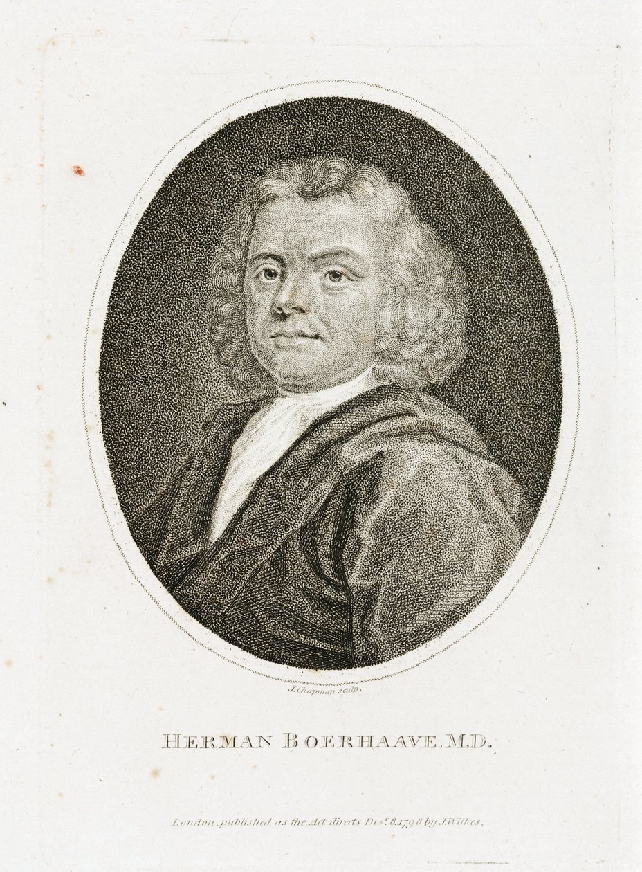 Herman Boerhaave, Hollandalı doktor, kimyager ve botanikçi, 18. yüzyılın başlarında by Unbekannt