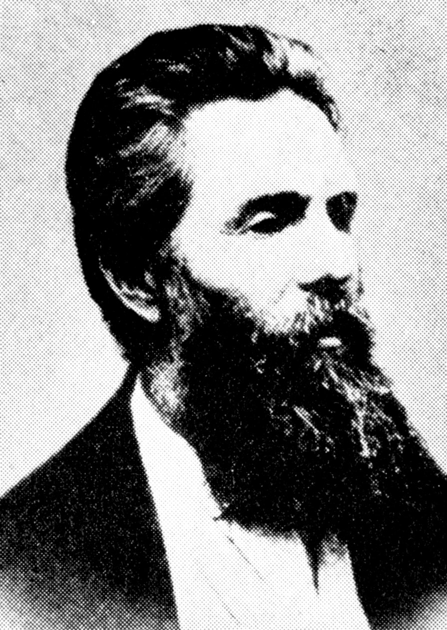 Herman Melville, Amerikalı yazar, 19. yüzyıl by Unbekannt