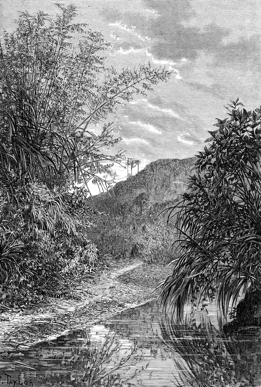 Yayla Manzarası, Formosa, c1890 by Unbekannt