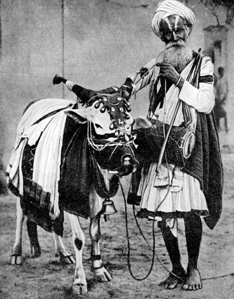 Kutsal inekli Hindu ineği, Hindistan, 1936 by Unbekannt