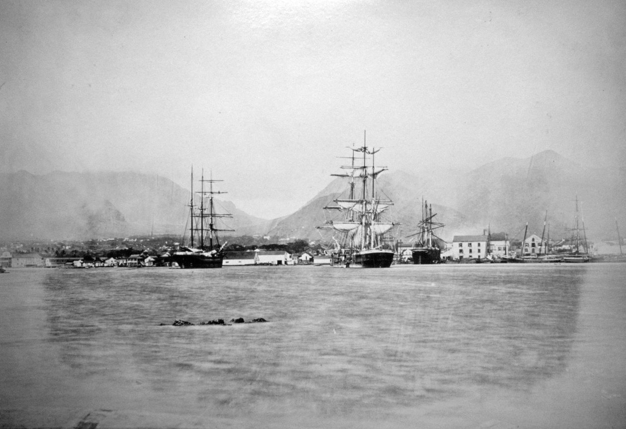 Honolulu, Hawaii, 1885-1890 by Unbekannt