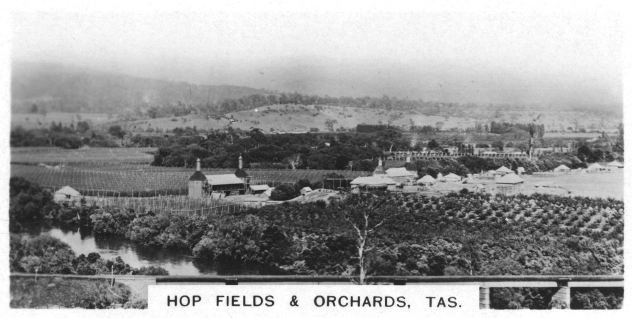 Hop tarlaları ve meyve bahçeleri, Tazmanya, Avustralya, 1928 by Unbekannt