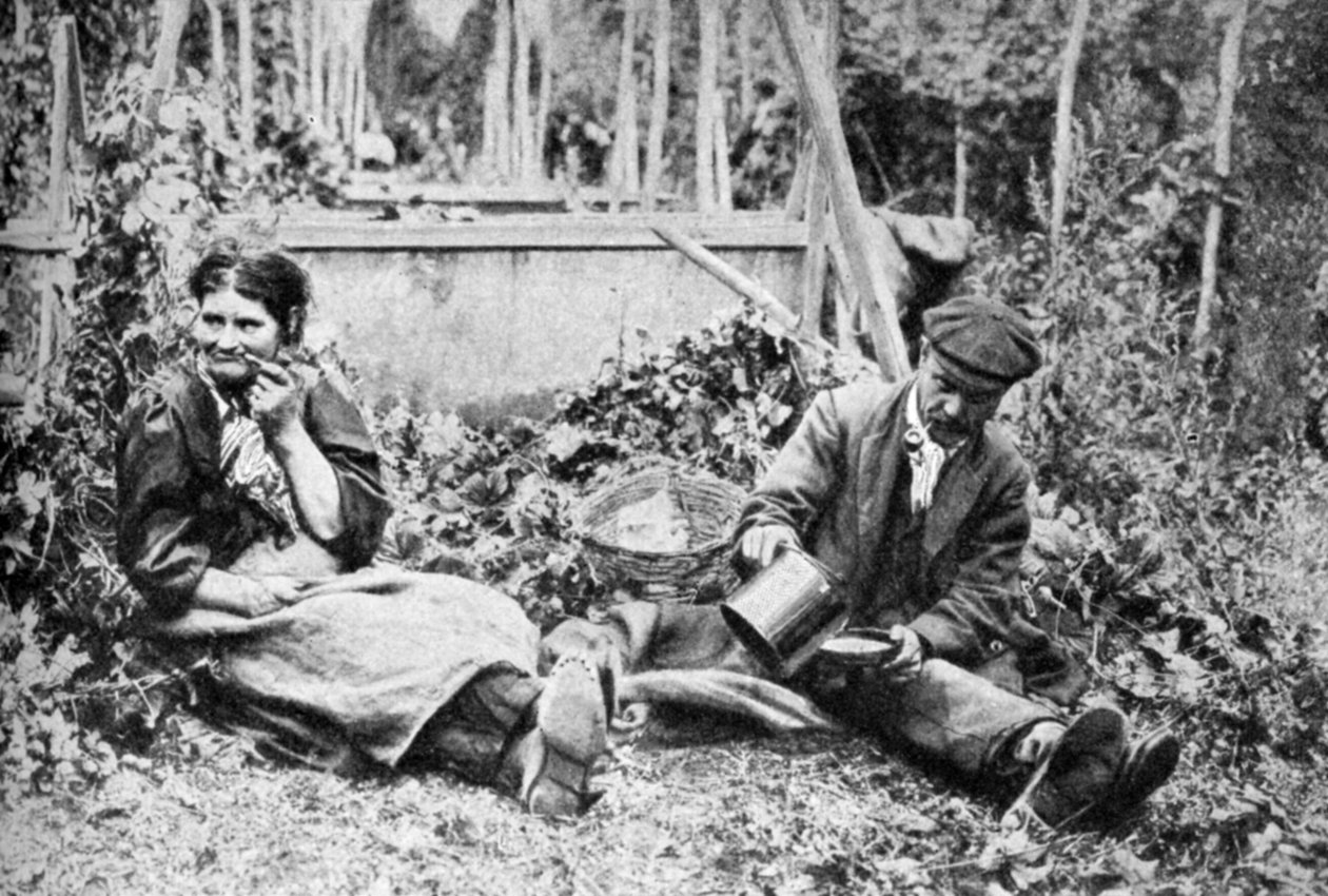 Şerbetçiotu toplayıcıları, Kentli şerbetçiotu tarlaları, c1922 by Unbekannt