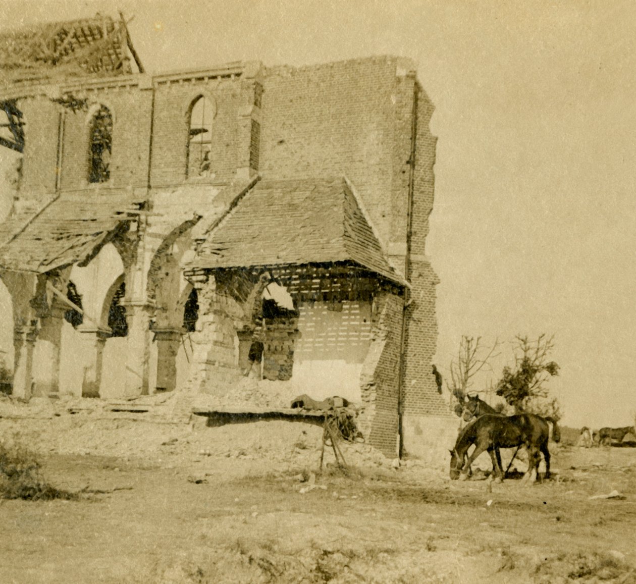 Harap kilisenin yakınında otlayan atlar, Frise, kuzey Fransa, c1914-c1918 by Unbekannt