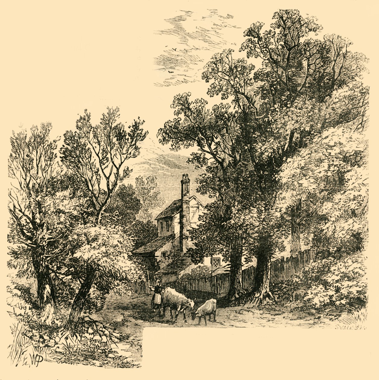 Craven Hill