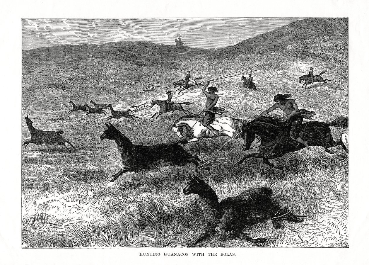 Bolas ile Guanacos Avı, Güney Amerika, 1877 by Unbekannt