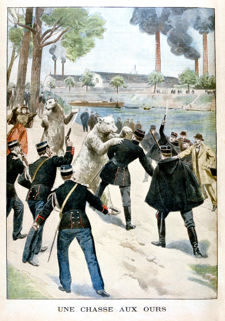 Ayı Avı, 1901 by Unbekannt