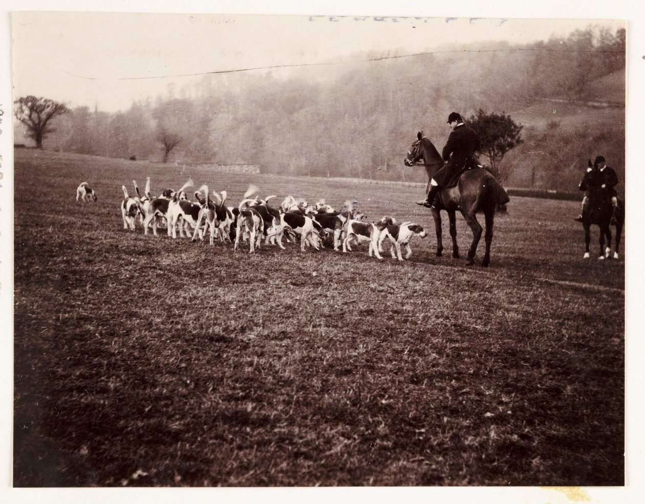 Avcı ve tazılar, c 1905 by Unbekannt