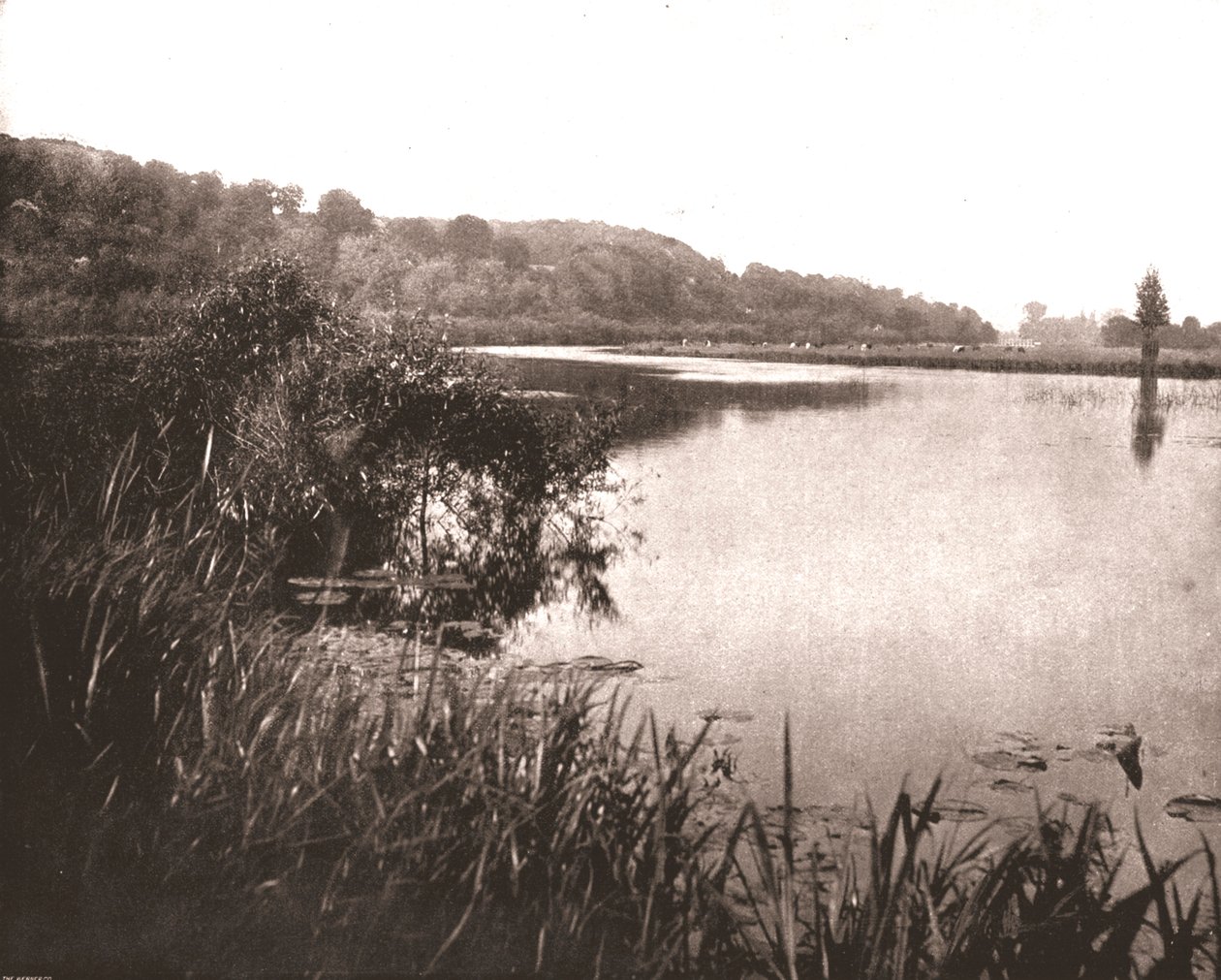 Hurley Reach, Bisham ve Medmenham arasındaki Thames Nehri, Buckinghamshire, 1894. by Unbekannt