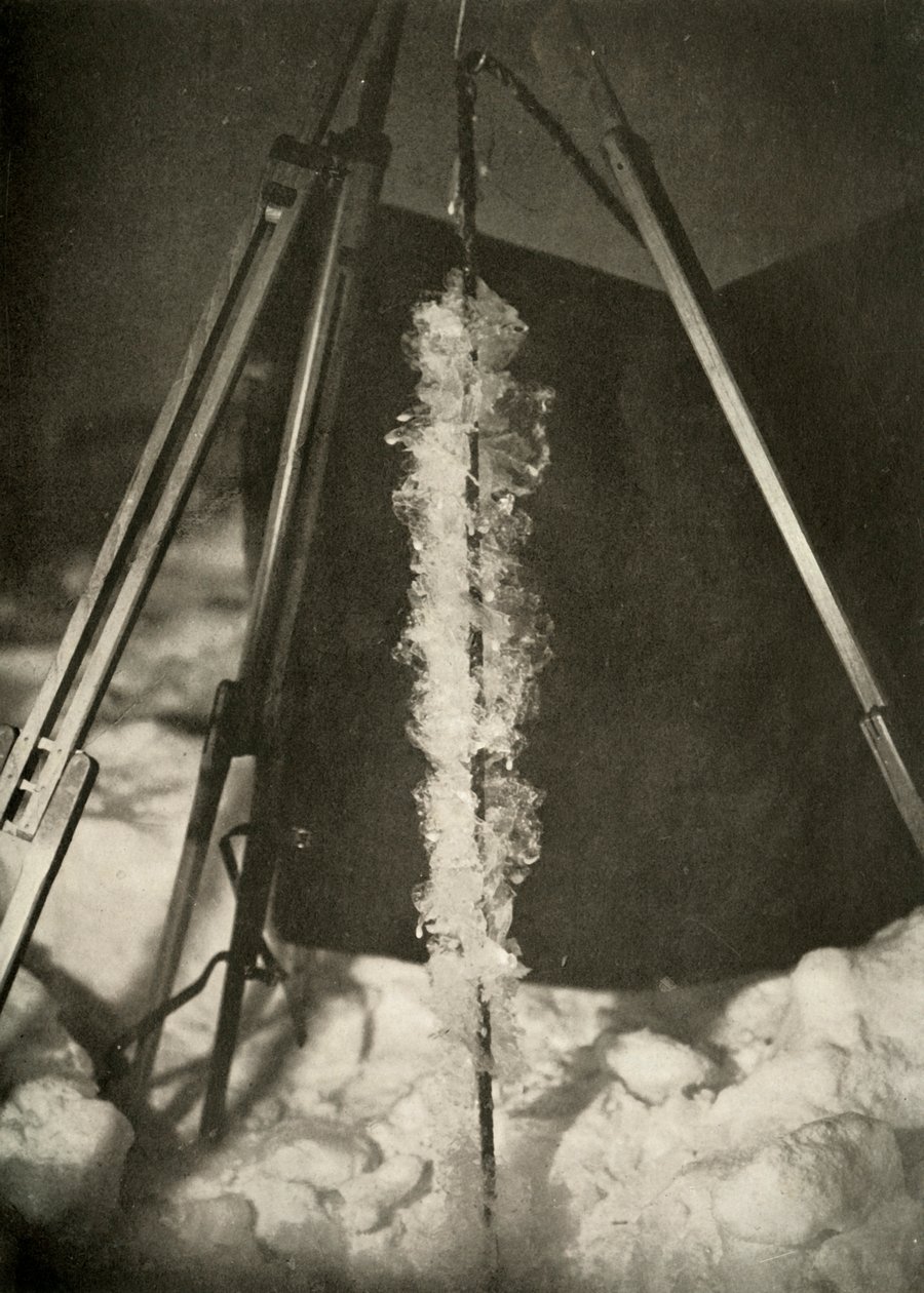 Balık Tuzağı Hattında Oluşan Buz Kristalleri, c1908, 1909 by Unbekannt