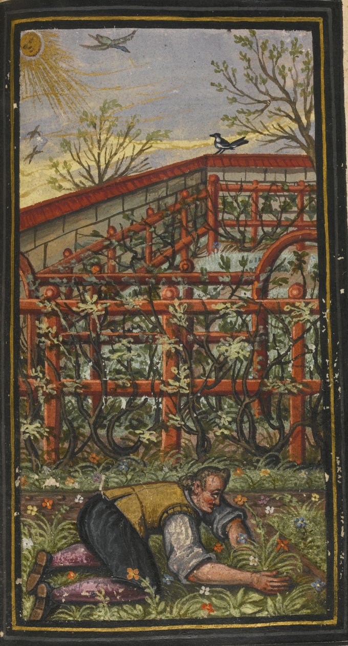 Ebedi hayatın harika yaz saati için çizim von Jacob Zader, 1603 by Unbekannt