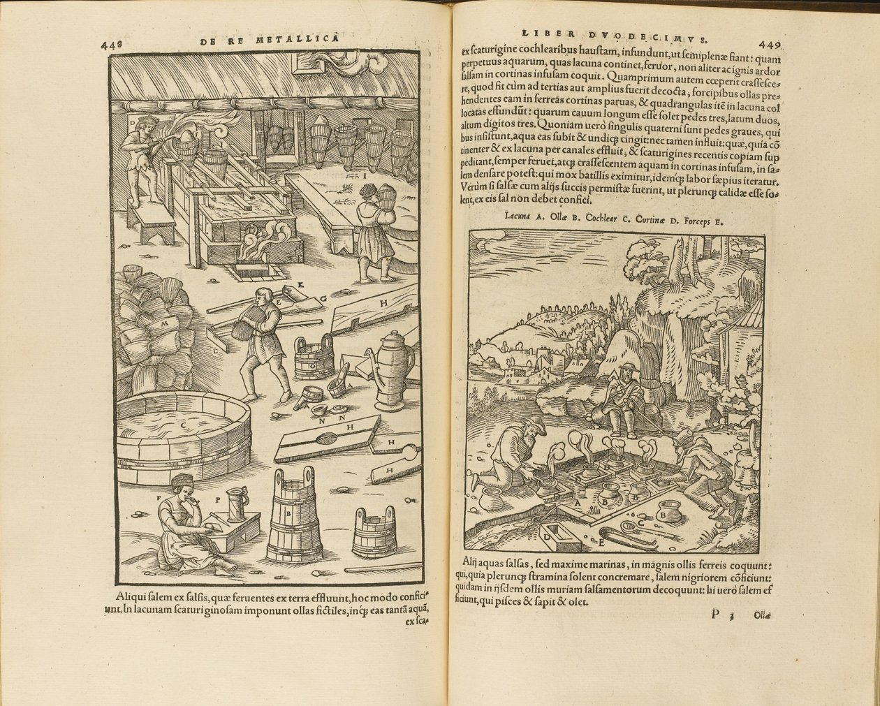 Georgius Agricola
