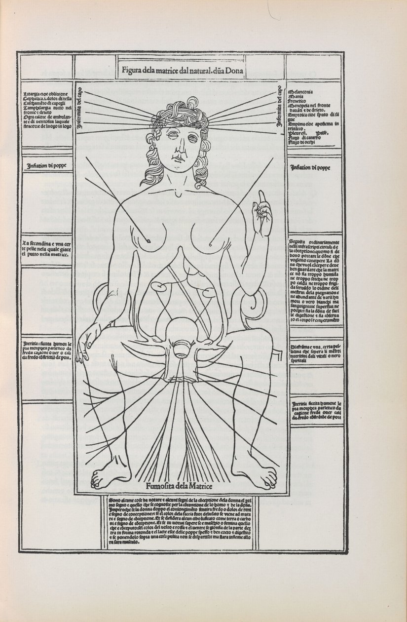 Johannes de Ketham tarafından Fasciculo di tıptan illüstrasyon, 1493 by Unbekannt