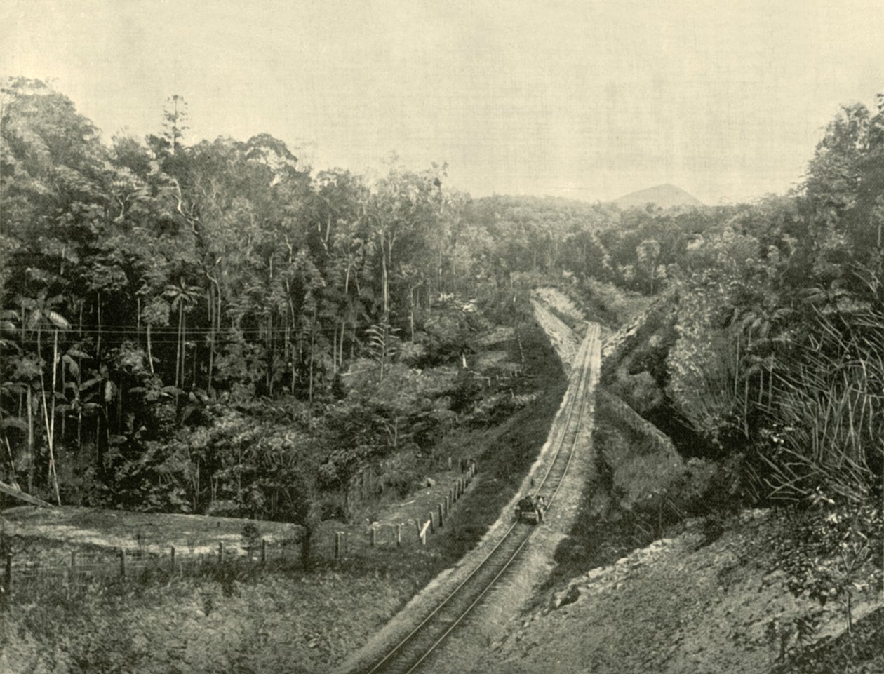 Blackall Sıradağlarında, 1901. by Unbekannt