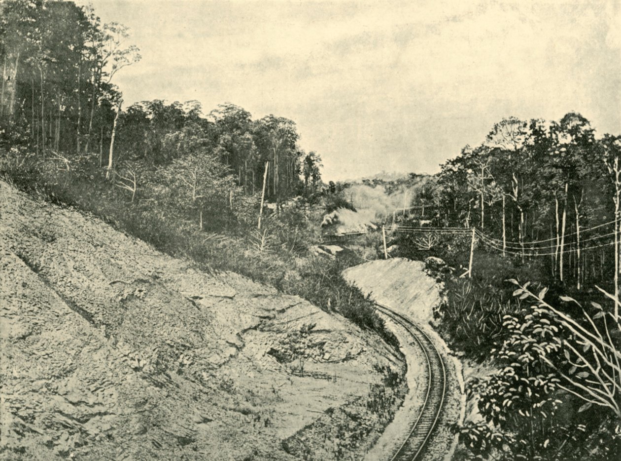 Blackall Sıradağlarında, 1901. by Unbekannt