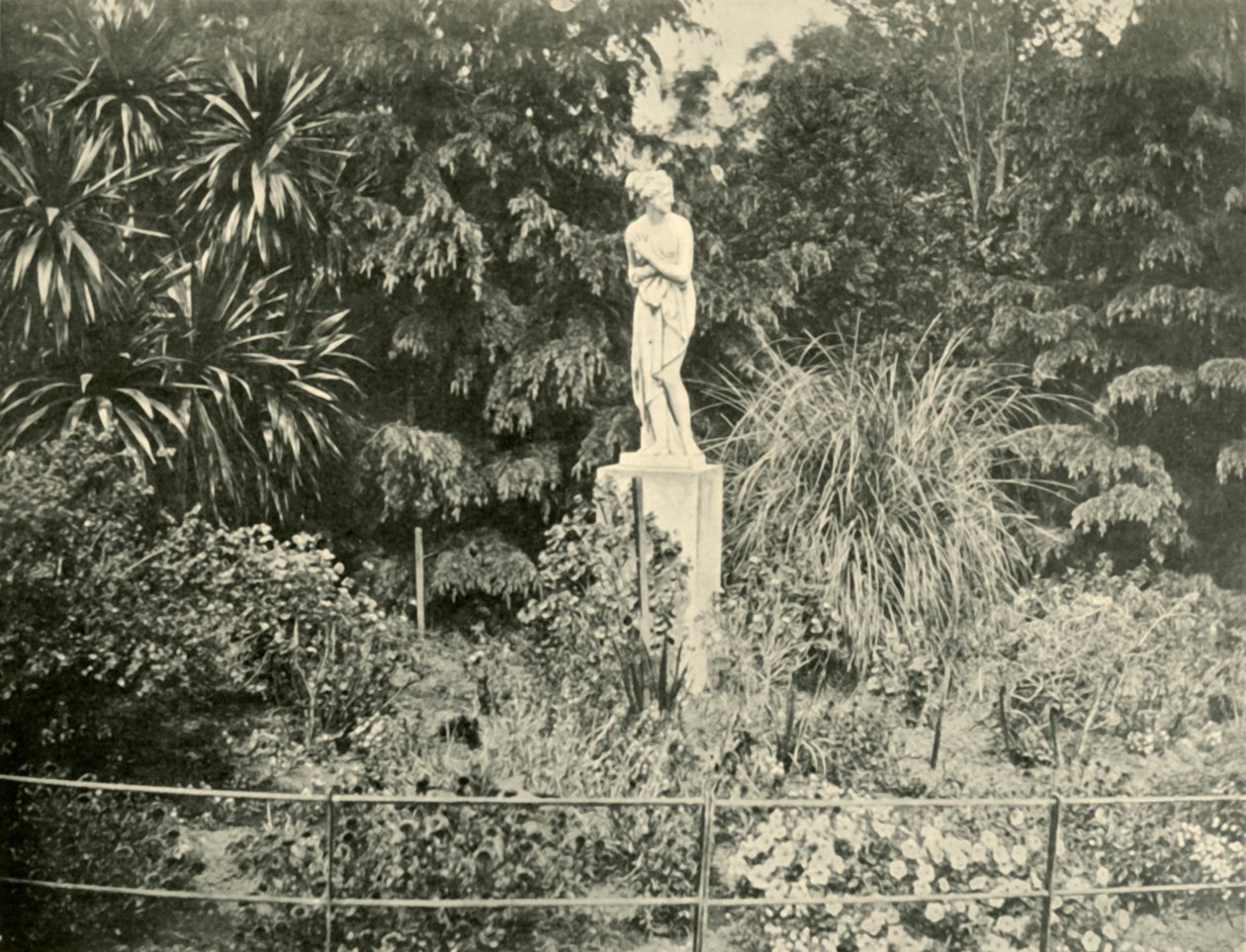 Fitzroy Bahçeleri