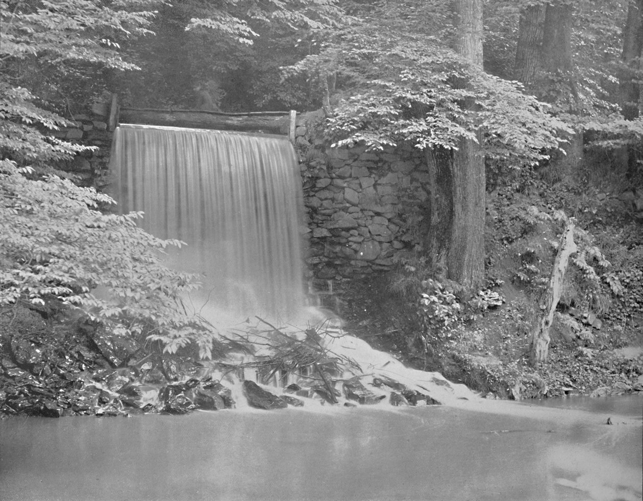 Philadelphia yakınlarındaki Darby Creek