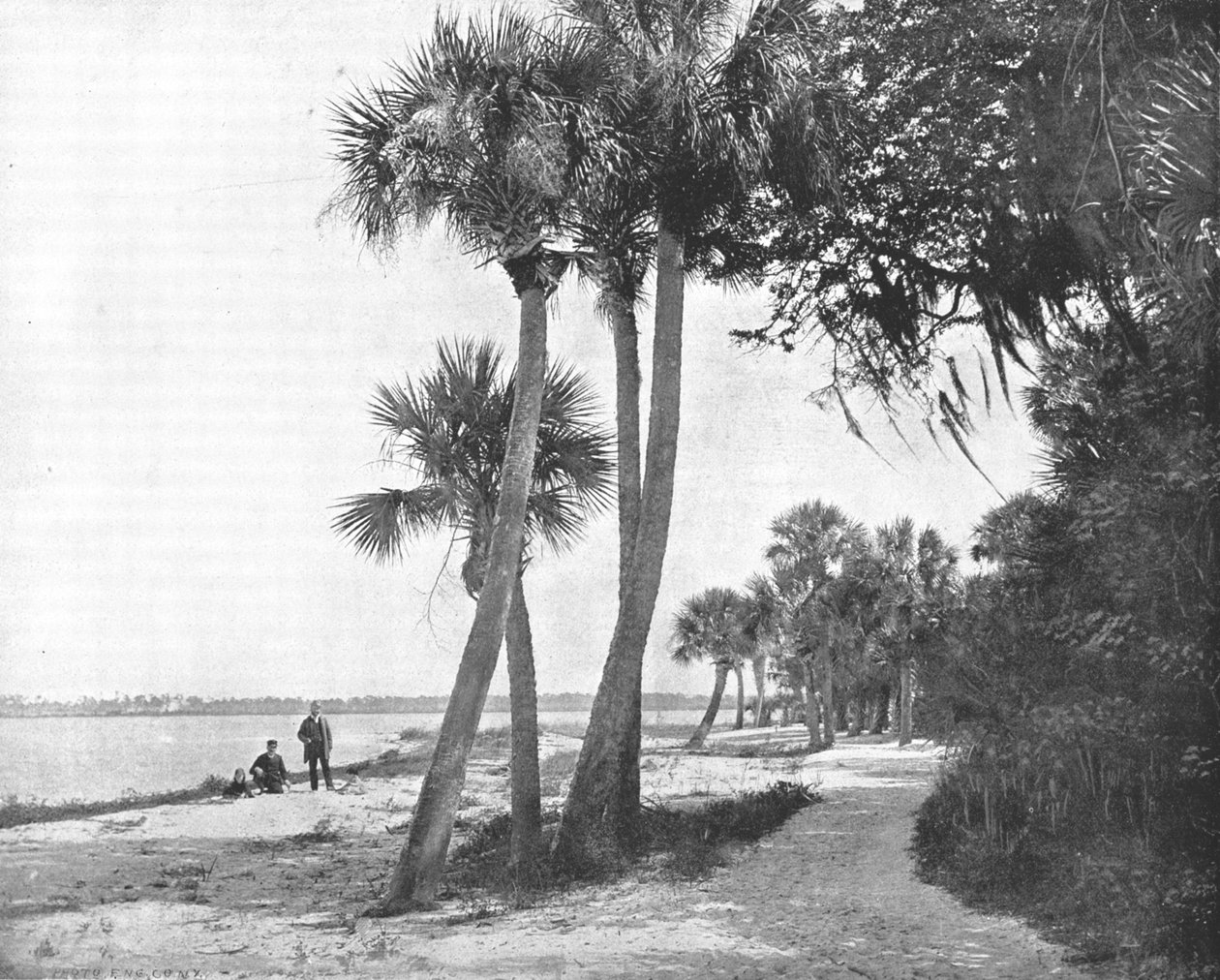 Indian River, Florida, ABD, c1900. by Unbekannt