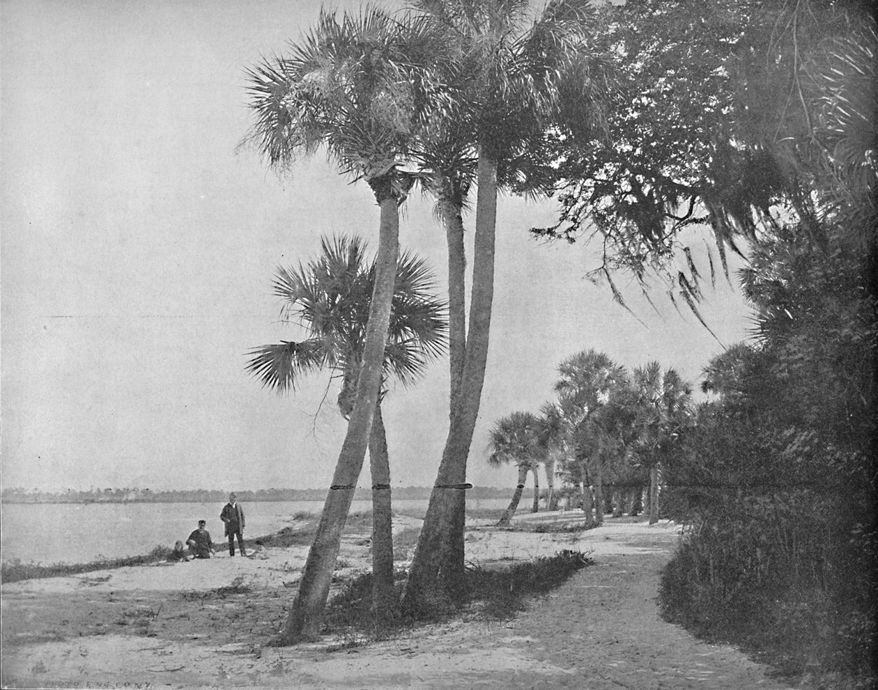 Indian River, Florida, c1897. by Unbekannt