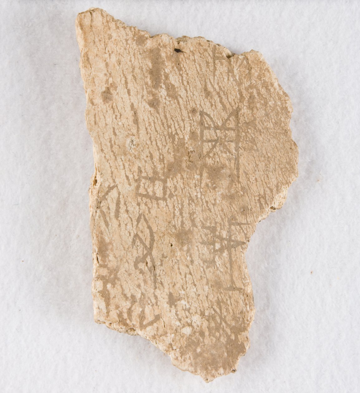Yazılı kemik parçası kehanet kemiği, Geç Shang hanedanı, ca. 1300-1050 M.Ö. by Unbekannt