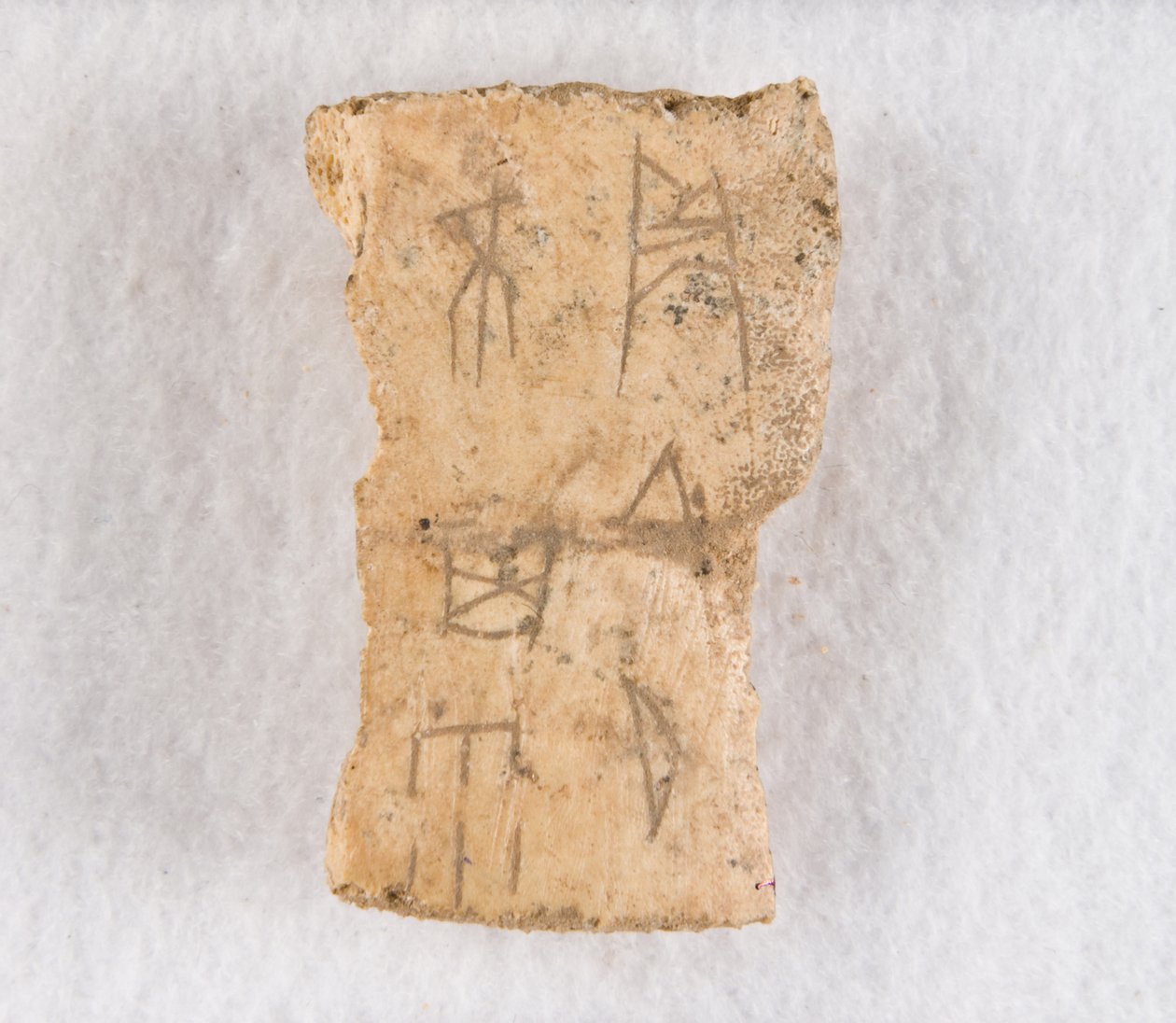 Yazılı kemik parçası kehanet kemiği, Geç Shang hanedanı, ca. 1300-1050 M.Ö. by Unbekannt