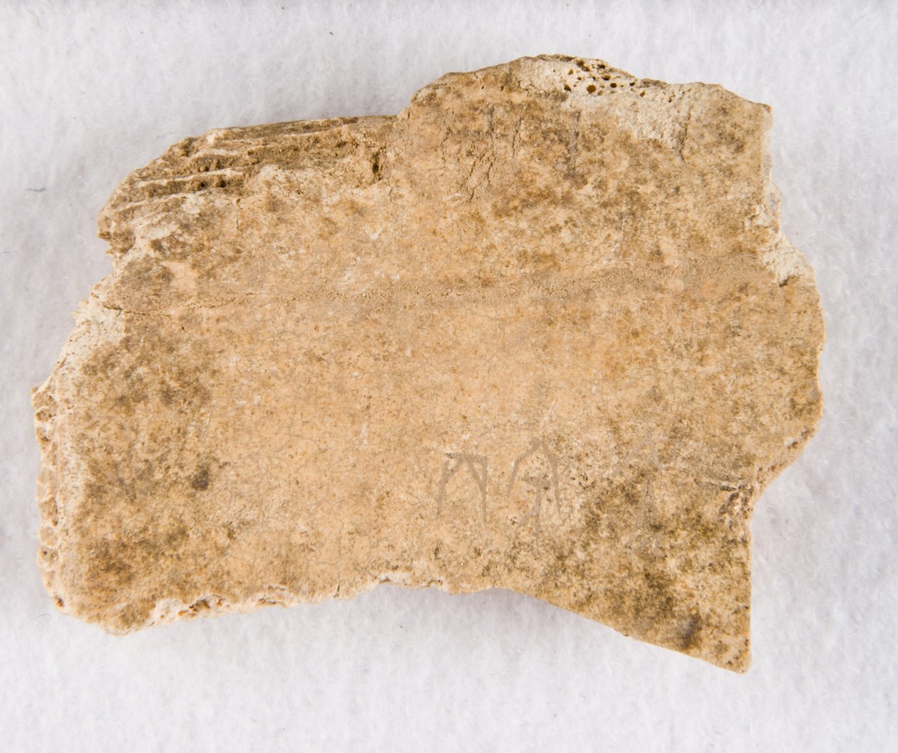 Yazılı kemik parçası kehanet kemiği, Geç Shang hanedanı, ca. 1300-1050 M.Ö. by Unbekannt
