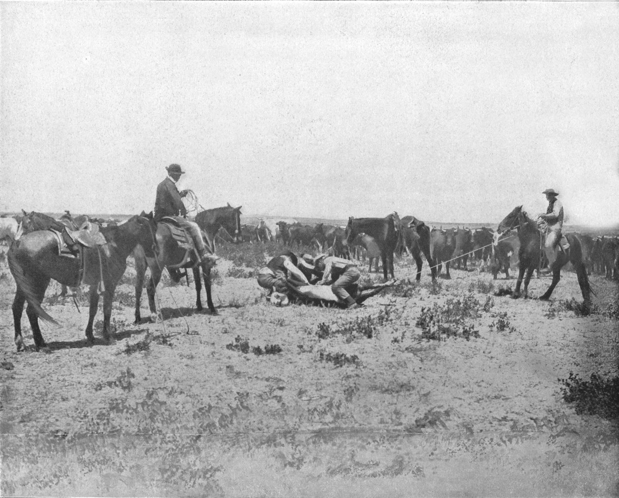 Prairies, ABD, c1900
