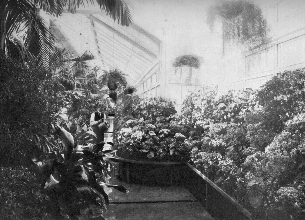 Beyaz Saray serasının içi, Washington DC, ABD, 1908 by Unbekannt
