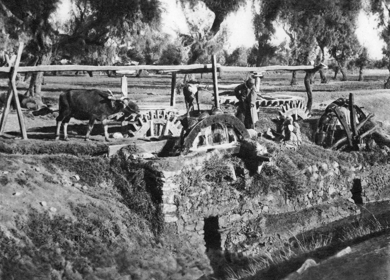 Kahire, Mısır, c1920
