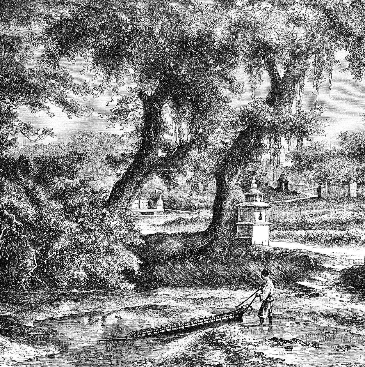 Sulama pompası, Güney Çin, c1890 by Unbekannt