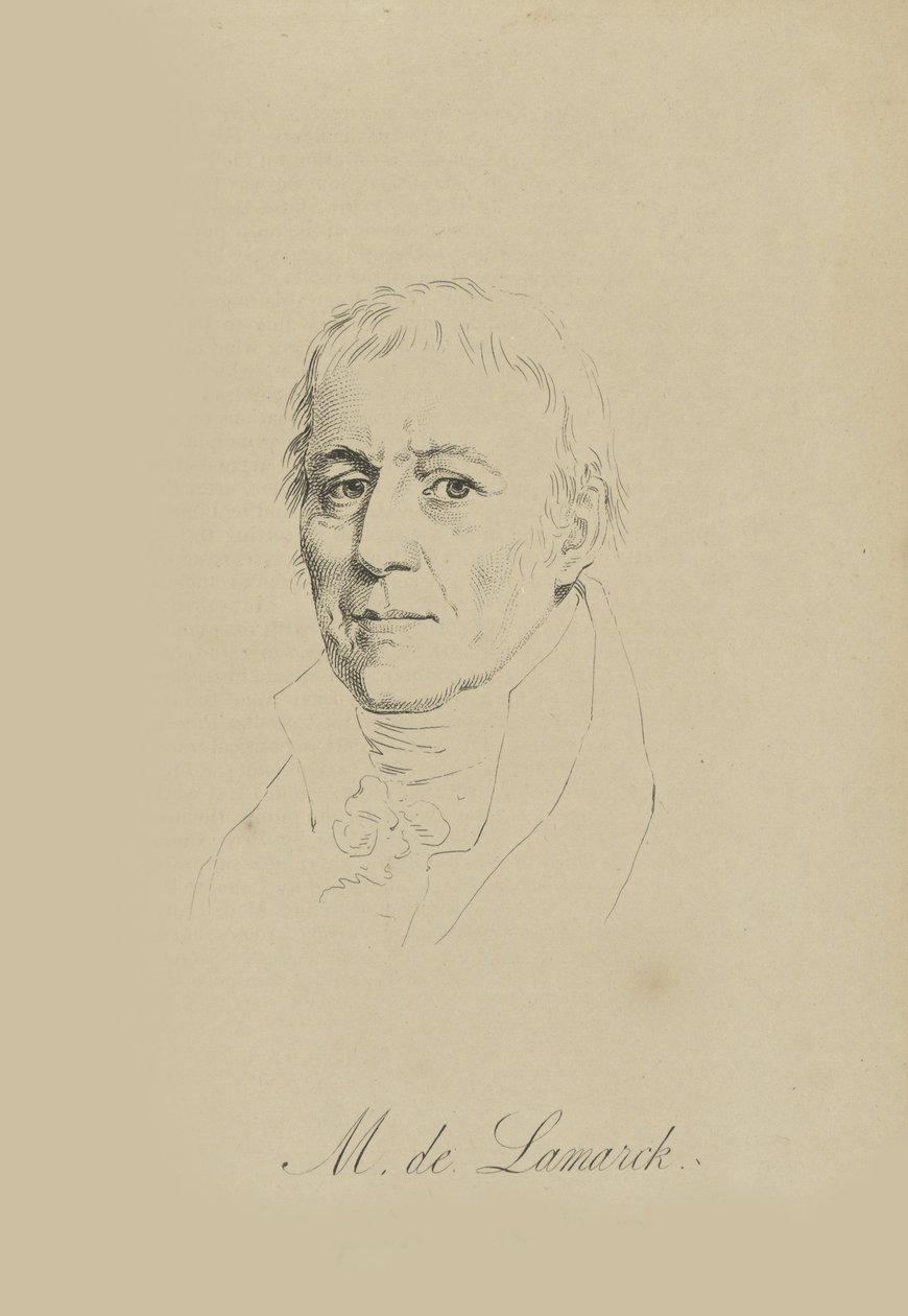 Jean-Baptiste Pierre Antoine de Monet, Chevalier de Lamarck 1744-1829, c. 1810. by Unbekannt