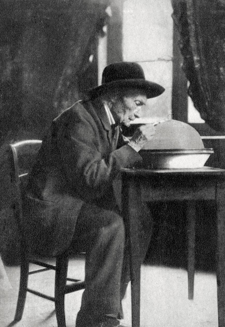 Jean Henri Fabre, Fransız entomolog, 1880 by Unbekannt