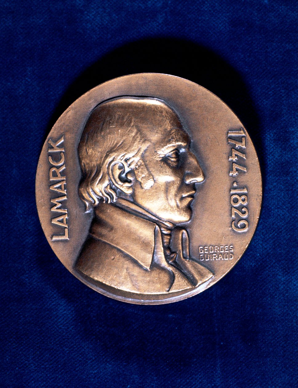 Jean Lamarck, Fransız doğa bilimci by Unbekannt