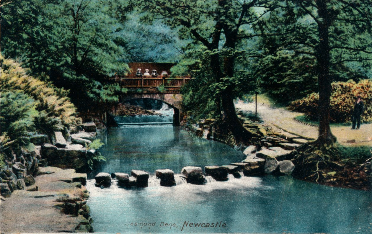 Jesmond Dene, Newcastle, c1905 by Unbekannt