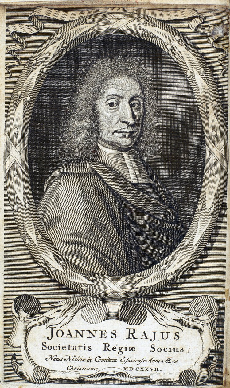 John Ray (Wray), İngiliz doğa bilimci, c 1700 by Unbekannt