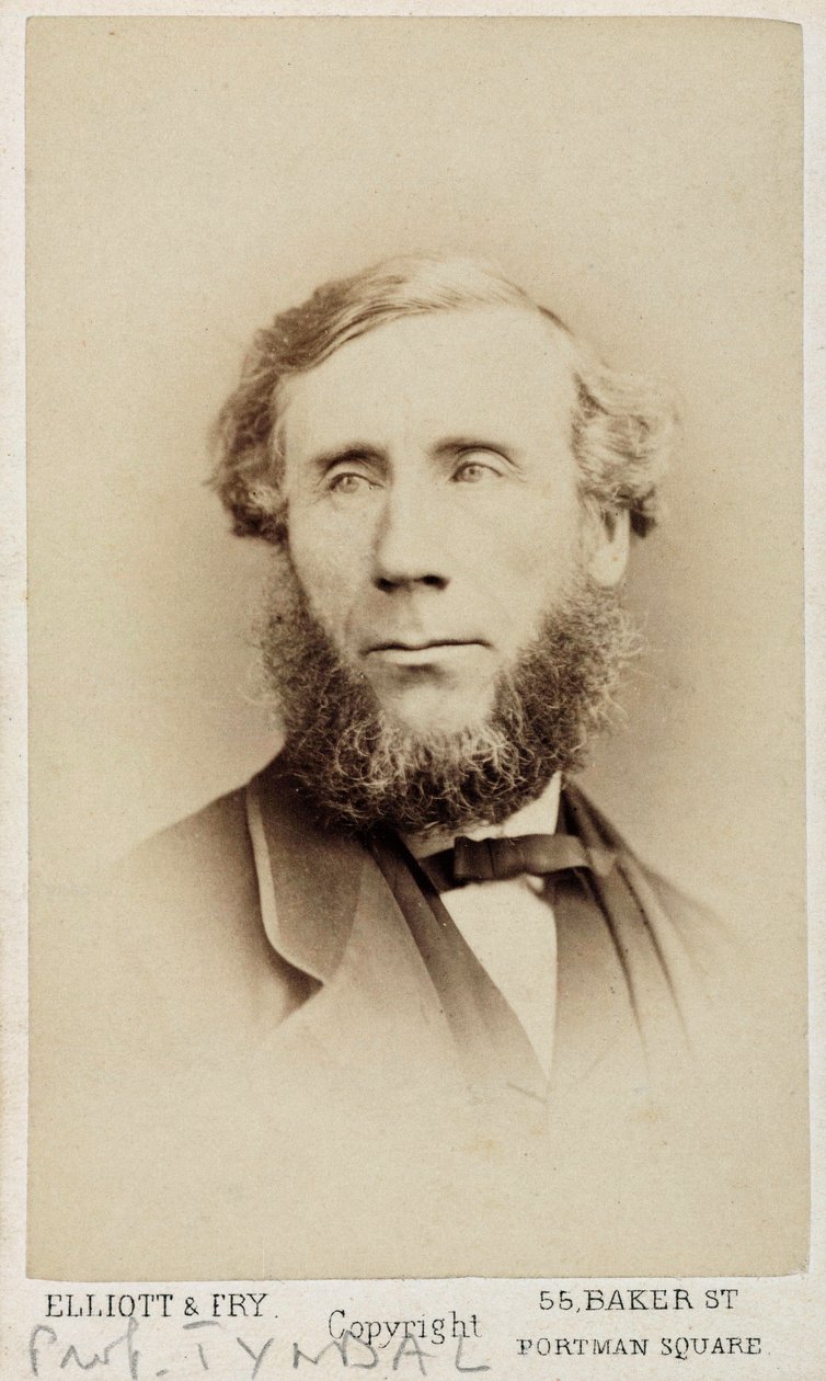 John Tyndall, İrlandalı fizikçi, 1875 dolayları by Unbekannt
