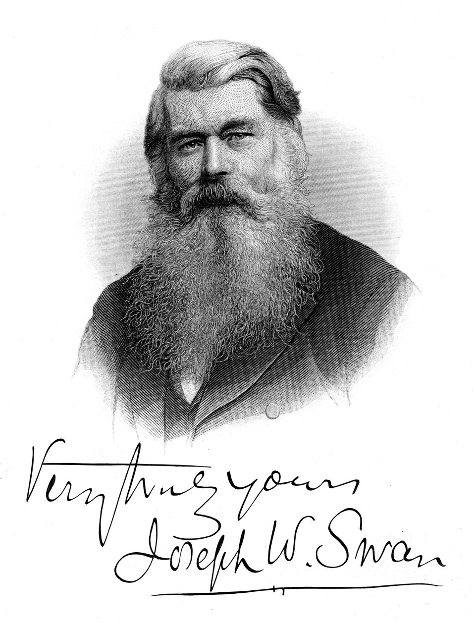 Joseph Wilson Kuğu, c1880 by Unbekannt